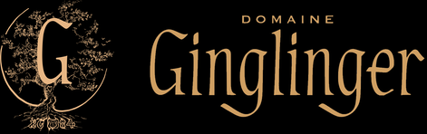 Logo Domaine Pierre-Henri Ginglinger